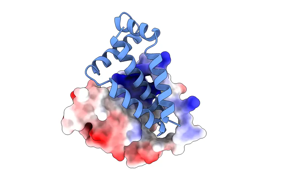 RBX1 protein binder structure produced by Mandrake ORBIT